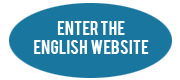 Enter the english website